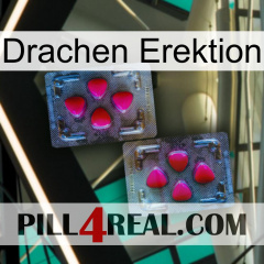 Dragon Erection 15